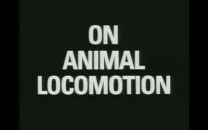 On animal locomotion