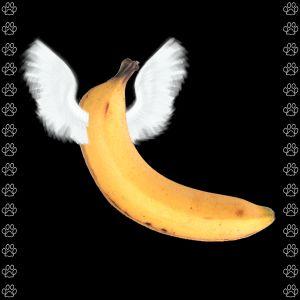 Banane Libre