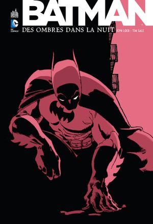 Batman : Des ombres dans la nuit