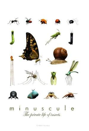 Minuscule : La Vie privée des insectes