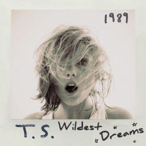 Wildest Dreams (music video) (Single)