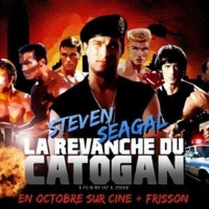 Steven Seagal : La Revanche du Catogan