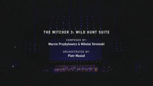 The Witcher 3: Wild Hunt Live concert