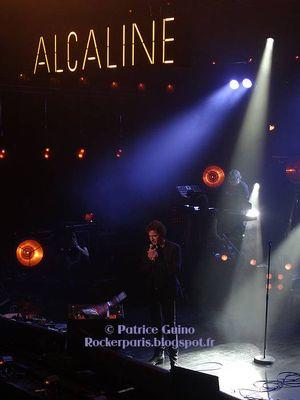 Alcaline, le concert: Hubert-Félix Thiéfaine