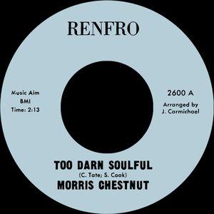 Too Darn Soulful / You Don’t Love Me Anymore (Single)
