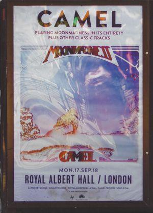 Live At The Royal Albert Hall (Live)