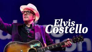 Costello, l'autre Elvis
