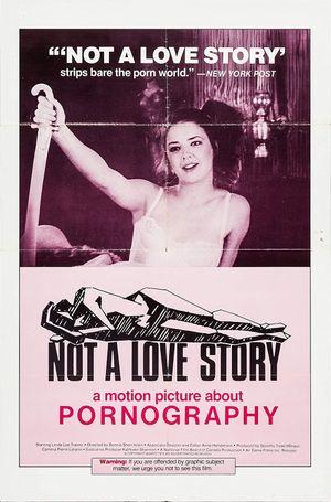 C'est surtout pas de l'amour - Un film sur la pornographie