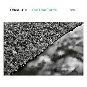 The Lion Turtle (Single)