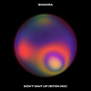 Don't Wait Up (Riton mix)