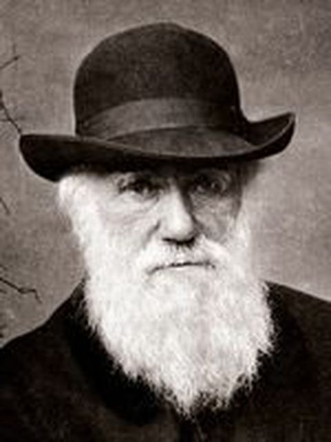 Darwin n'est pas l'homme d'une seule oeuvre